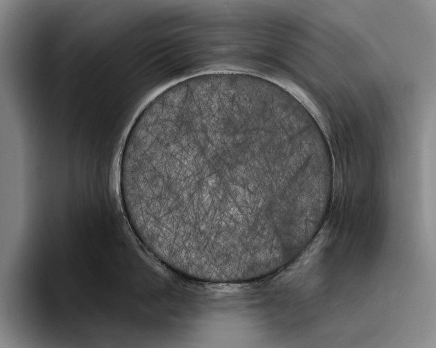 X0000096140862200802151333