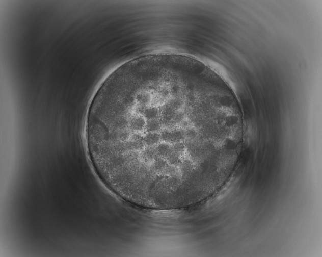X0000096140863200802151333