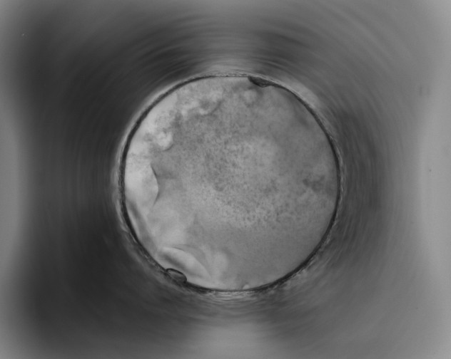 X0000096140864200802151333