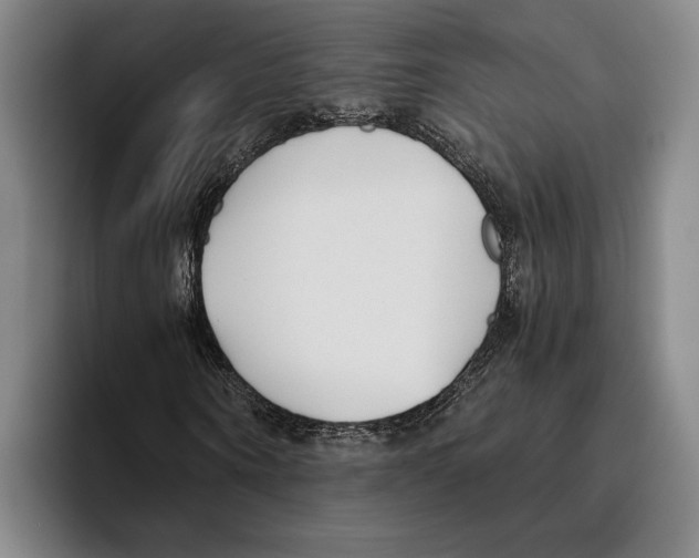 X0000096140866200802151332