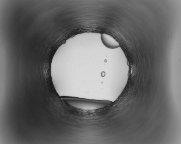 X0000096140867200802151332