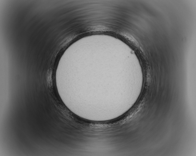 X0000096140873200802151332