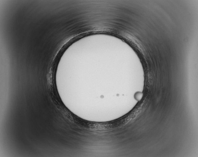 X0000096140875200802151332