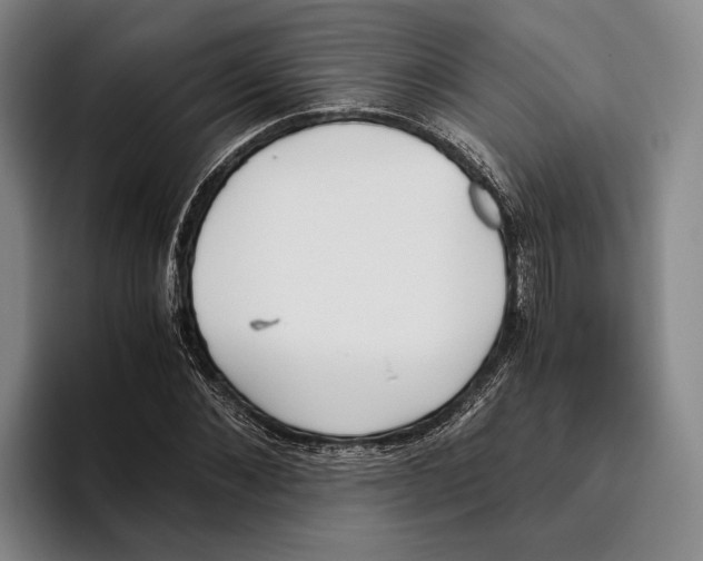 X0000096140876200802151332