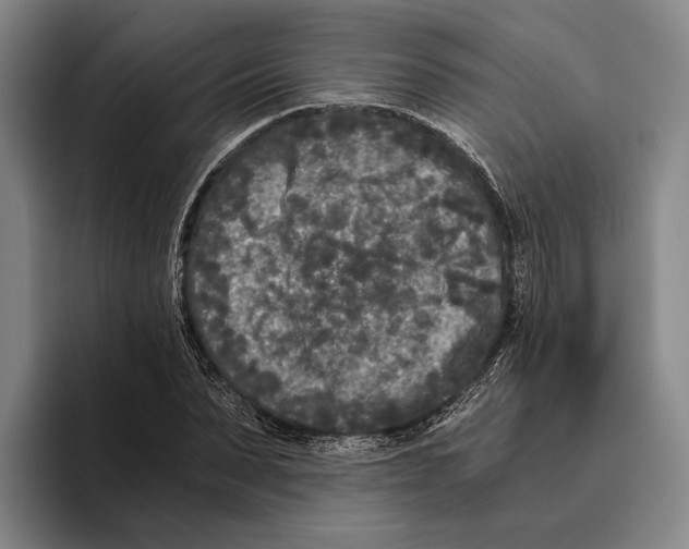 X0000096140879200802151332
