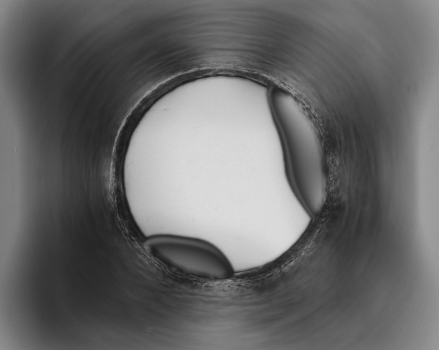 X0000096140880200802151332