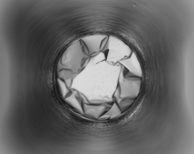 X0000096140881200802151332