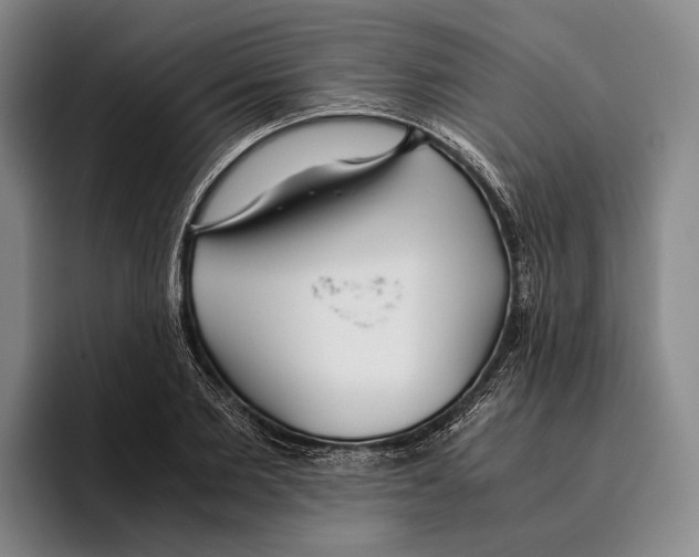 X0000096140885200802151332