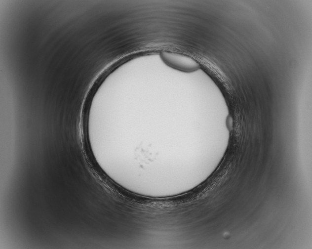 X0000096140888200802151332