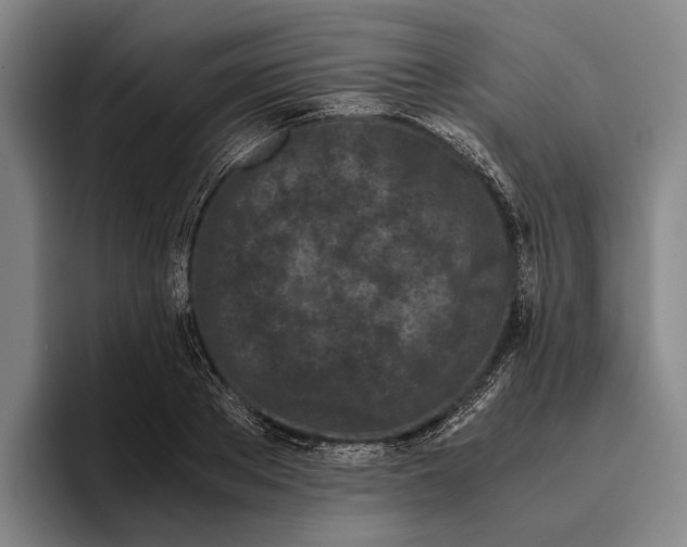 X0000096140889200802151332