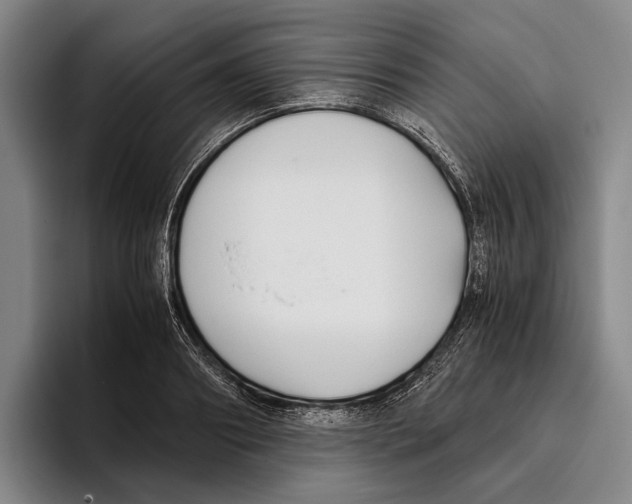 X0000096140890200802151332
