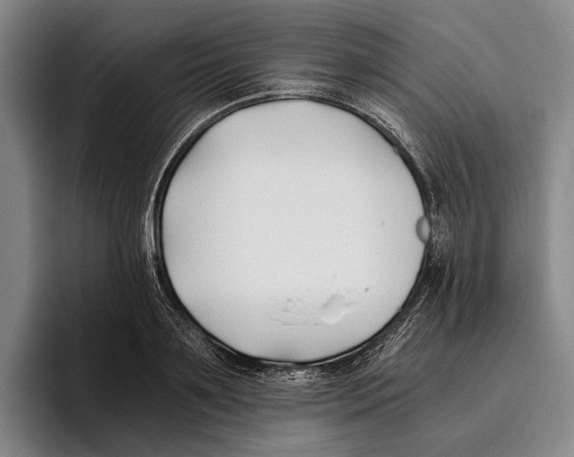 X0000096140891200802151332