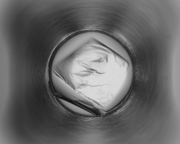 X0000096140892200802151332