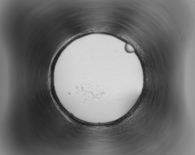 X0000096140894200802151332