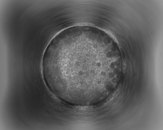 X0000096140895200802151332