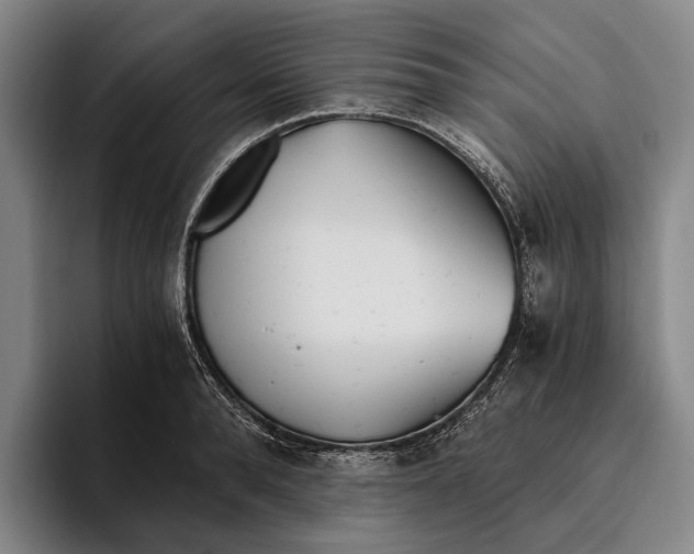 X0000096140896200802151332
