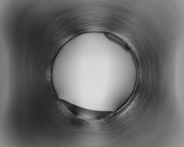 X0000096140897200802151332