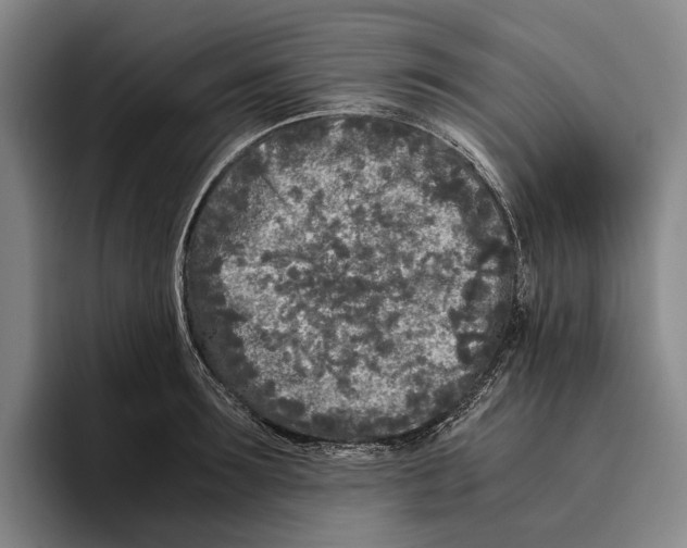 X0000096140899200802151332