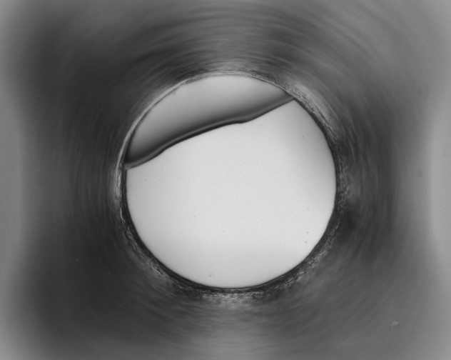 X0000096140900200802151332