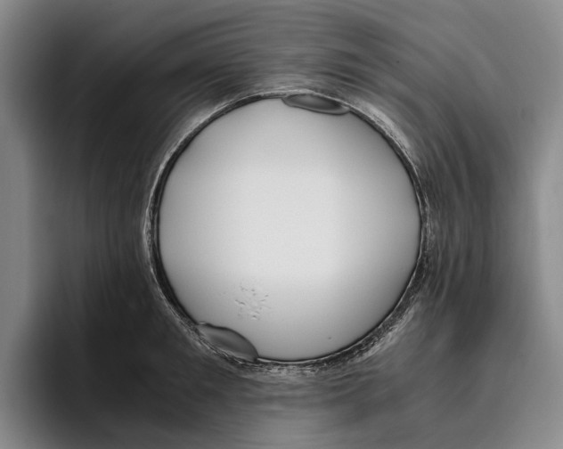 X0000096140901200802151332