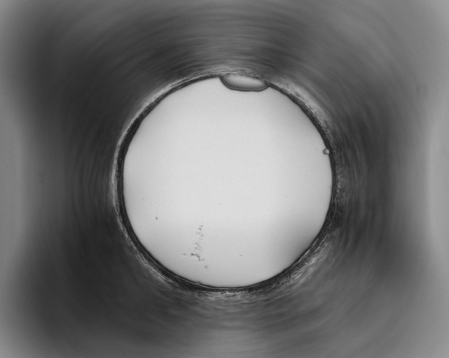 X0000096140902200802151332