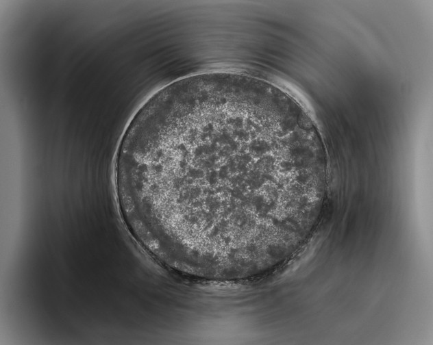X0000096140907200802151332