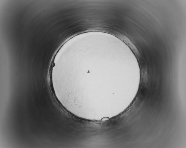 X0000096140908200802151332