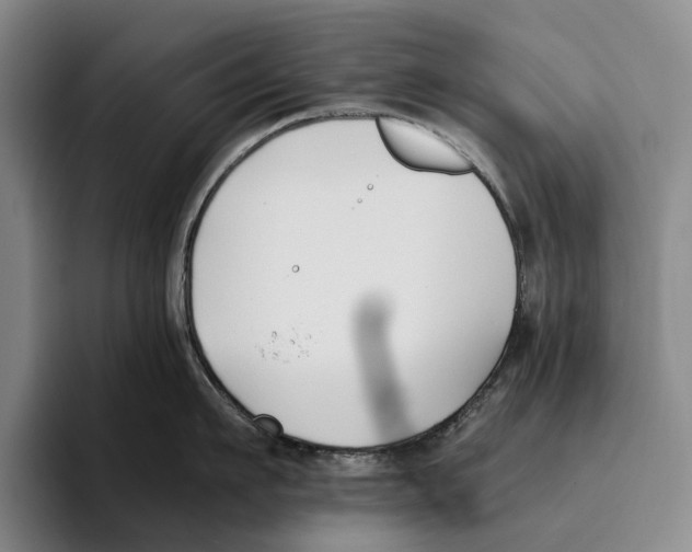 X0000096140911200802151332