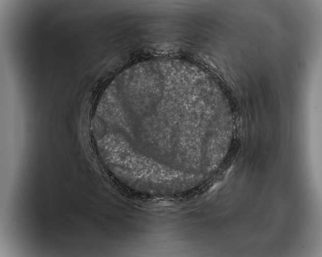 X0000096140913200802151331