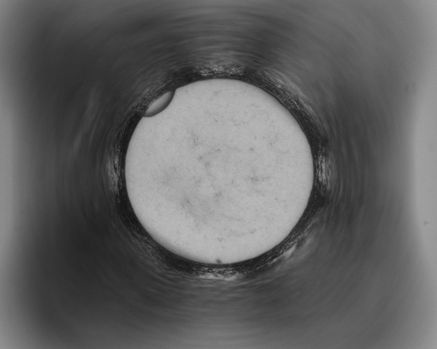 X0000096140915200802151331