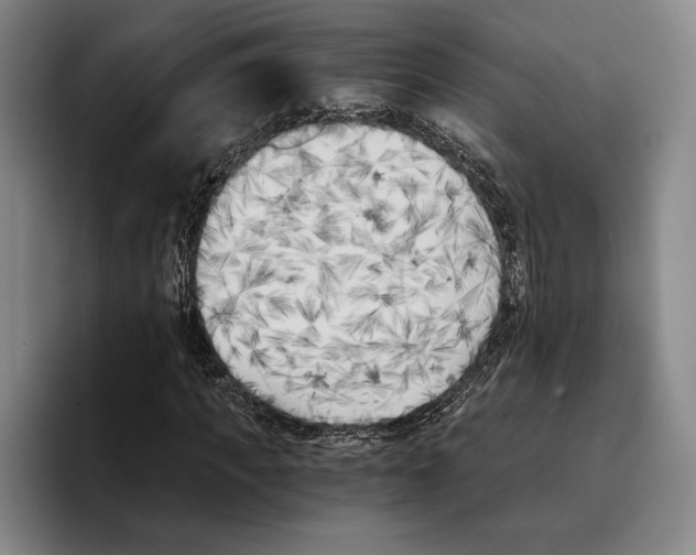 X0000096140917200802151331