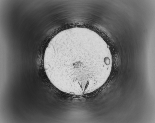 X0000096140918200802151331