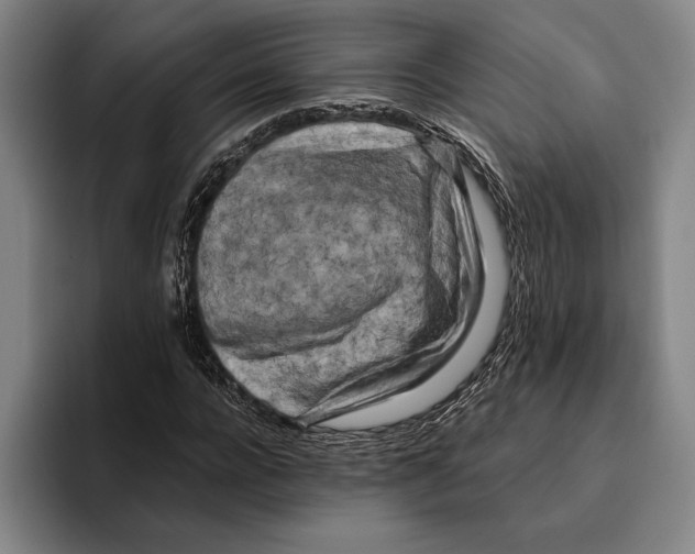 X0000096140920200802151331