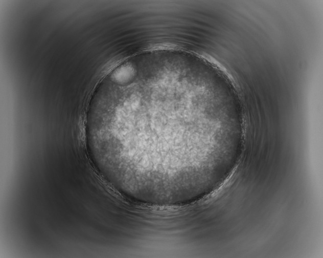 X0000096140921200802151331