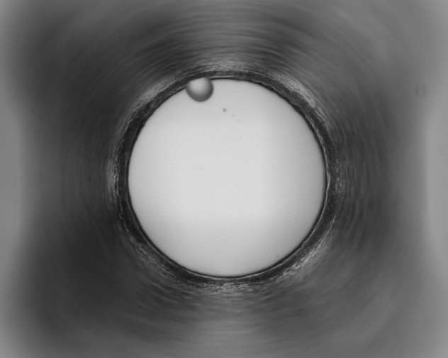 X0000096140922200802151331