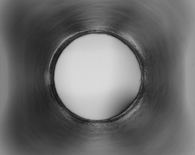 X0000096140924200802151331