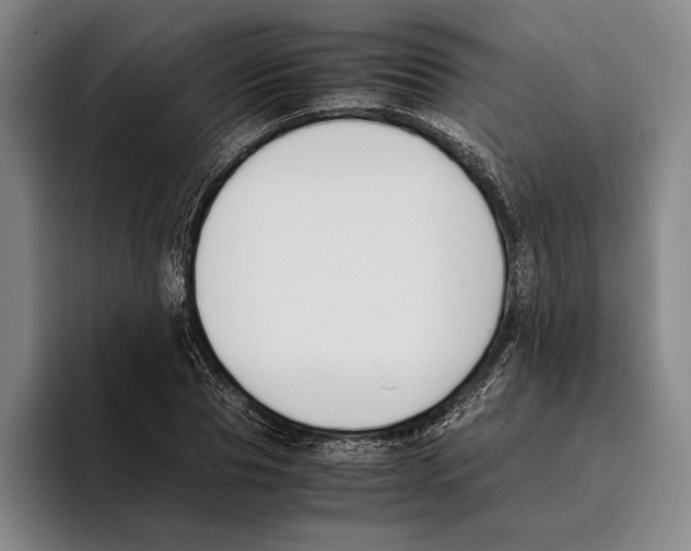 X0000096140929200802151331