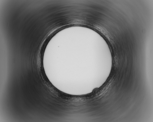 X0000096140931200802151331