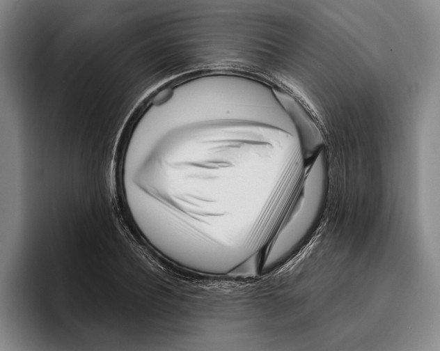 X0000096140932200802151331