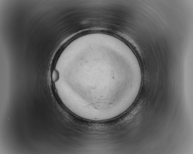 X0000096140935200802151331