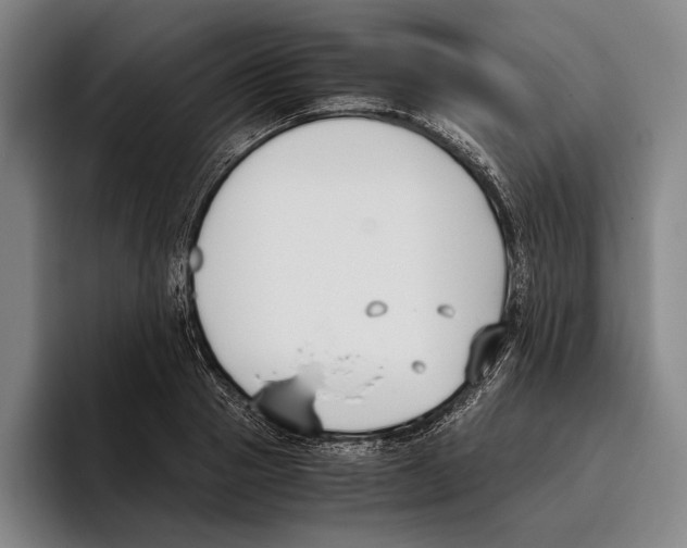 X0000096140937200802151331