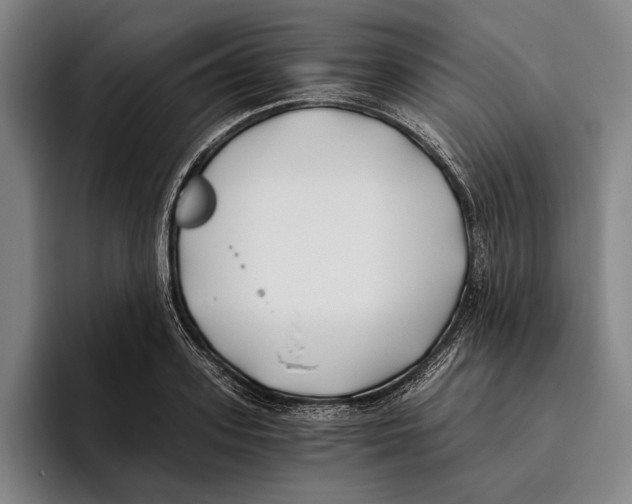 X0000096140939200802151331