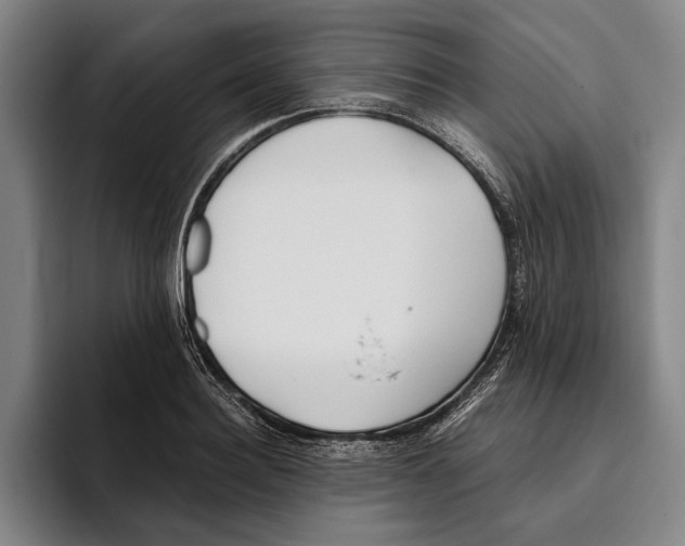 X0000096140940200802151331