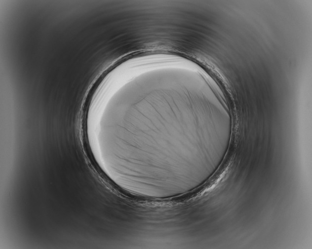 X0000096140941200802151331