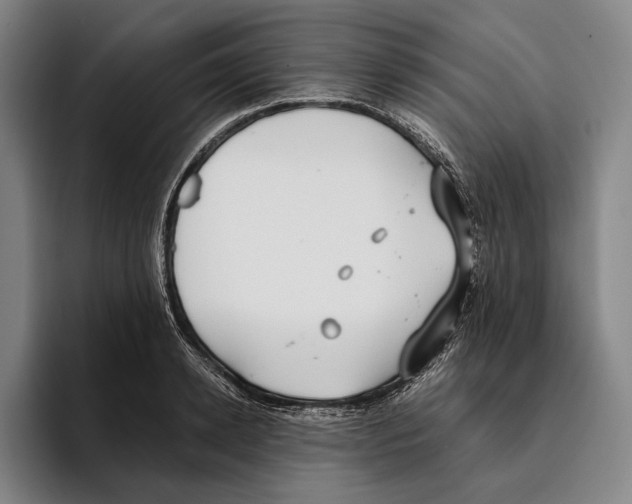 X0000096140942200802151331
