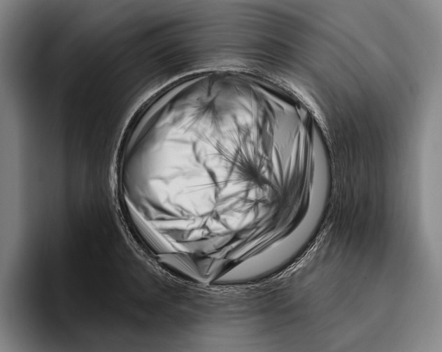 X0000096140944200802151331