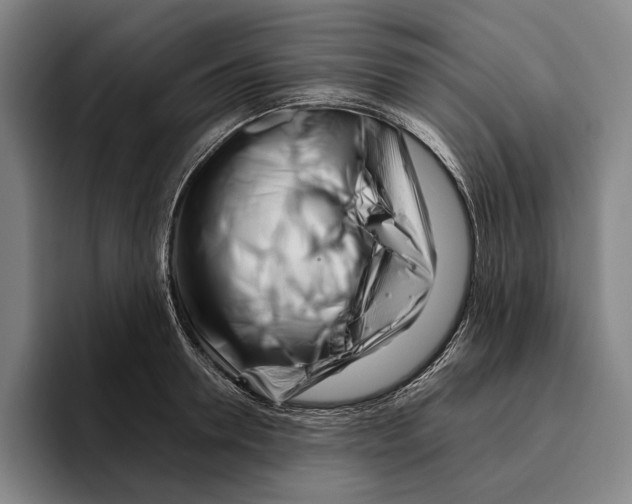 X0000096140946200802151331
