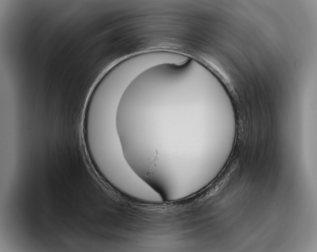 X0000096140948200802151331
