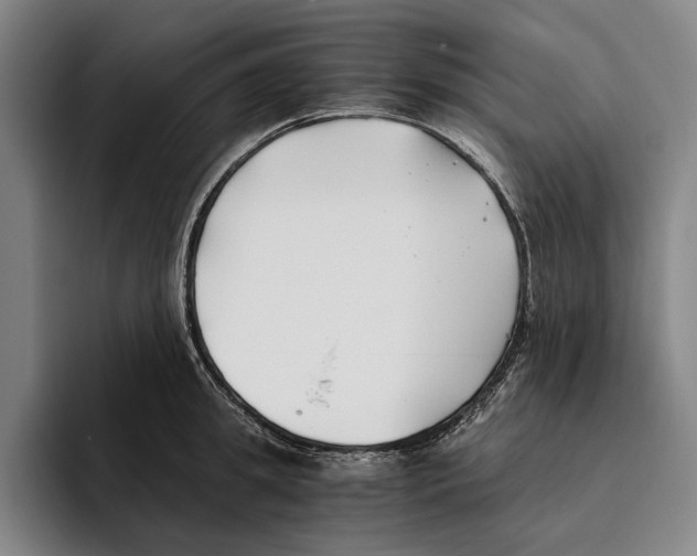 X0000096140949200802151331
