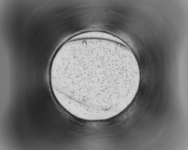X0000096140950200802151331